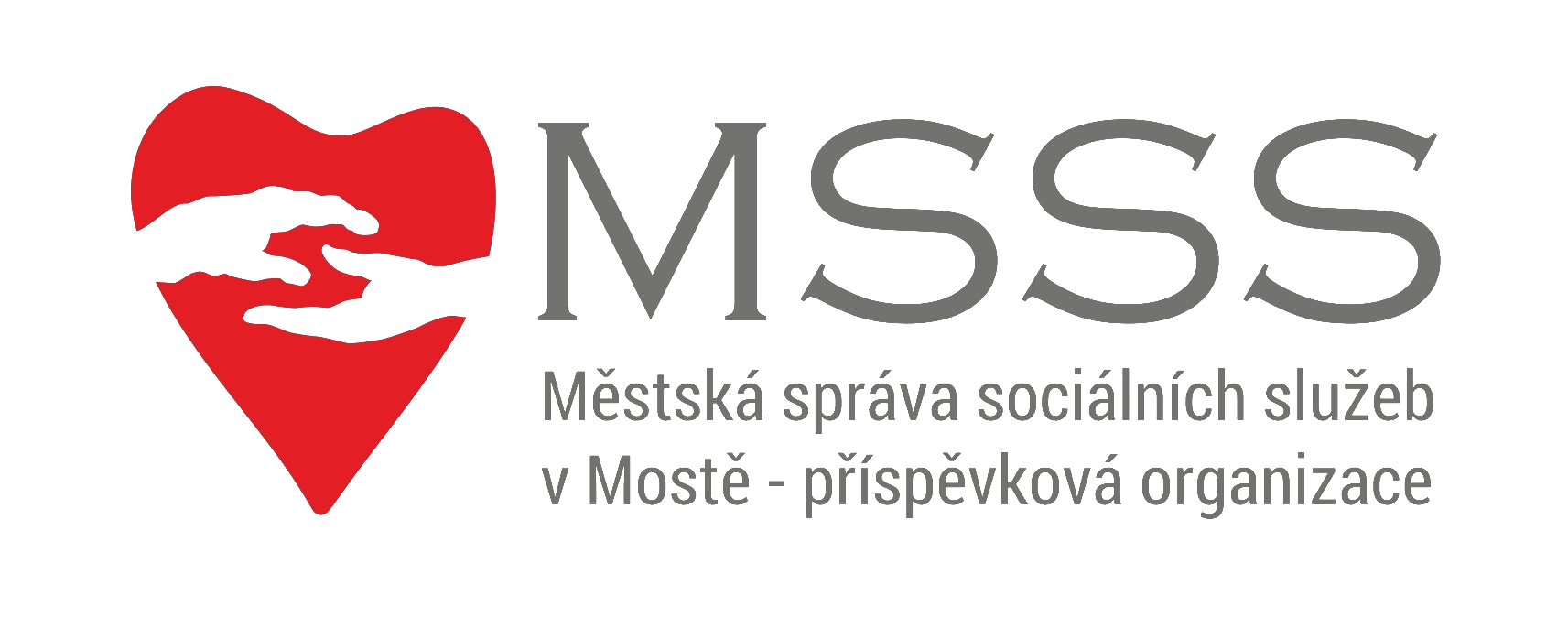 logo msss